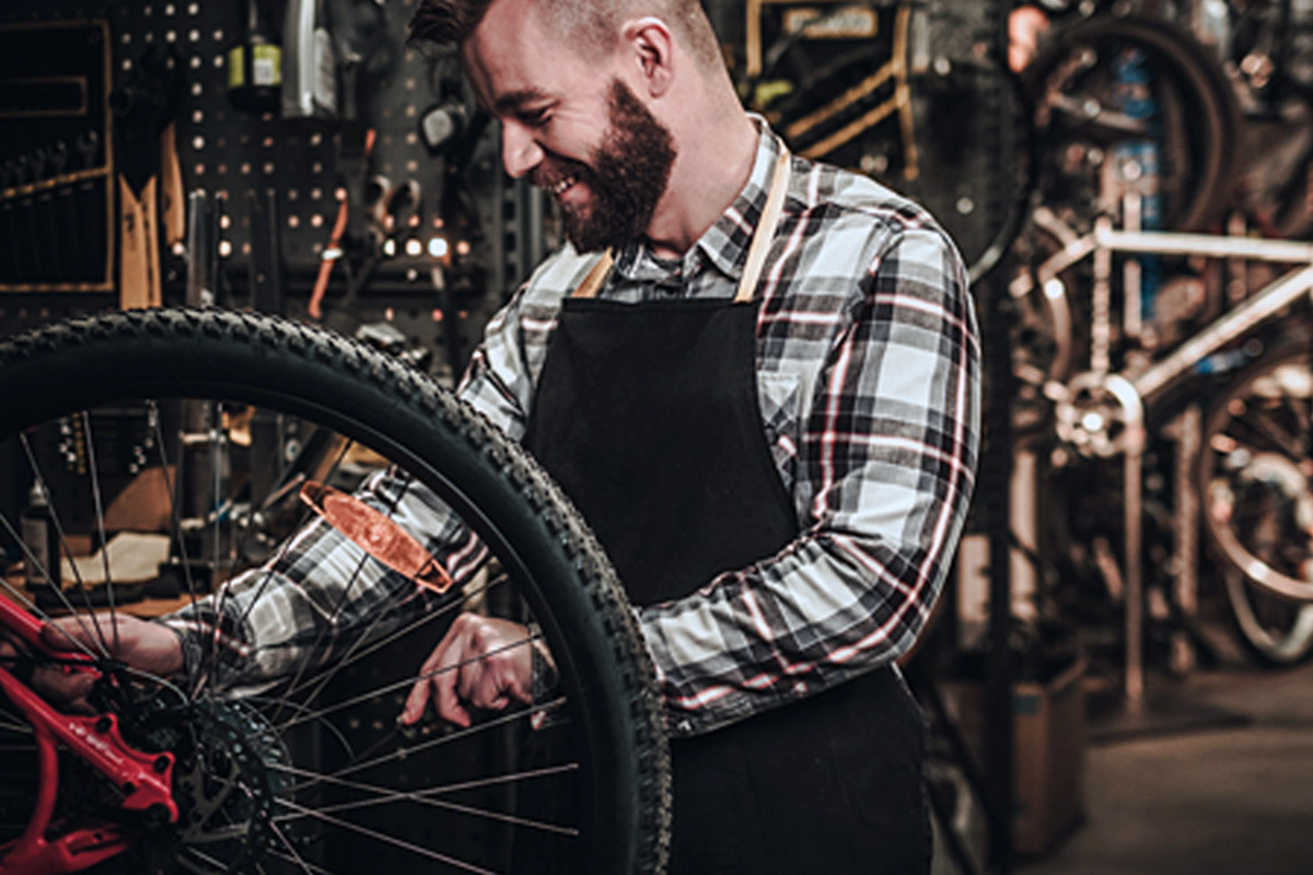 profundamente Emular Mariscos Llega la nueva FP de mecánico de bicicletas como titulación oficial |  Maillot Magazine