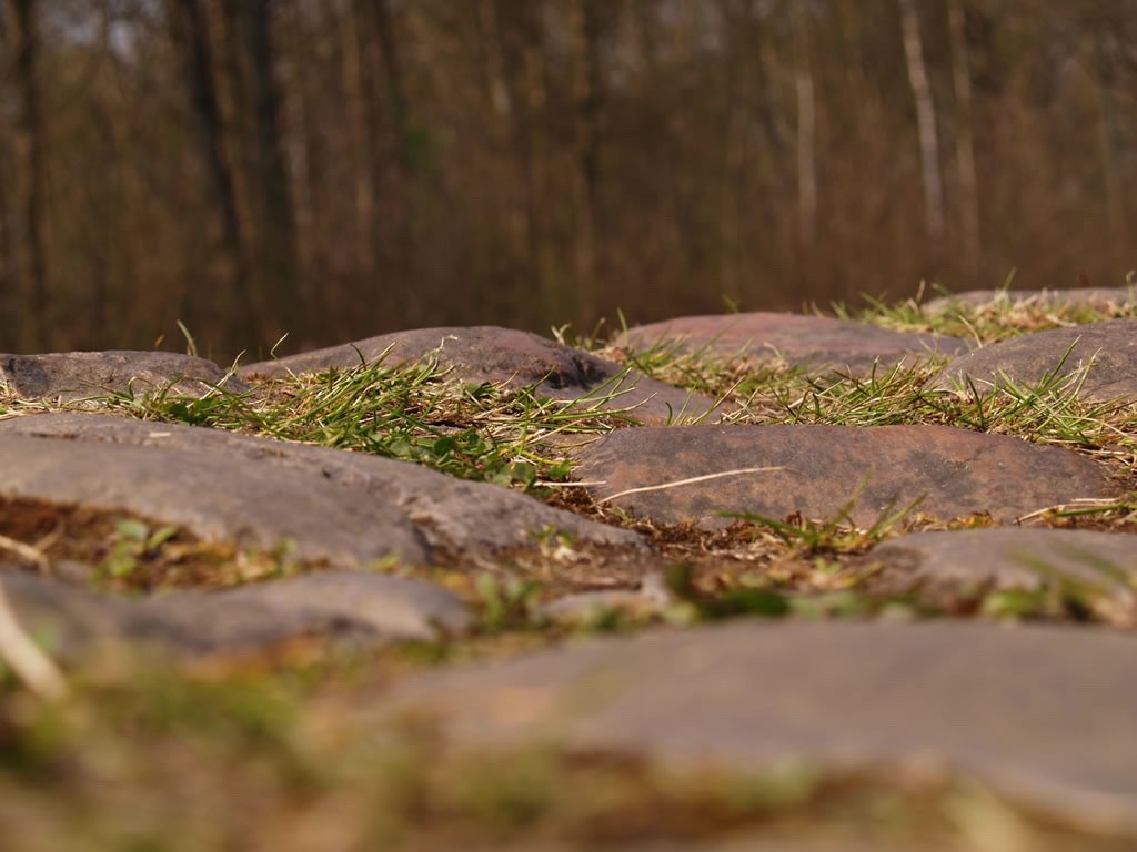 El pavés de la Paris Roubaix de cerca
