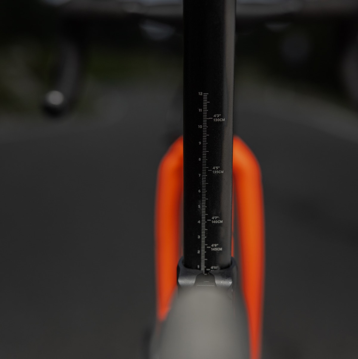 Nueva Giant Seek: la bicicleta de carretera de los futuros campeones