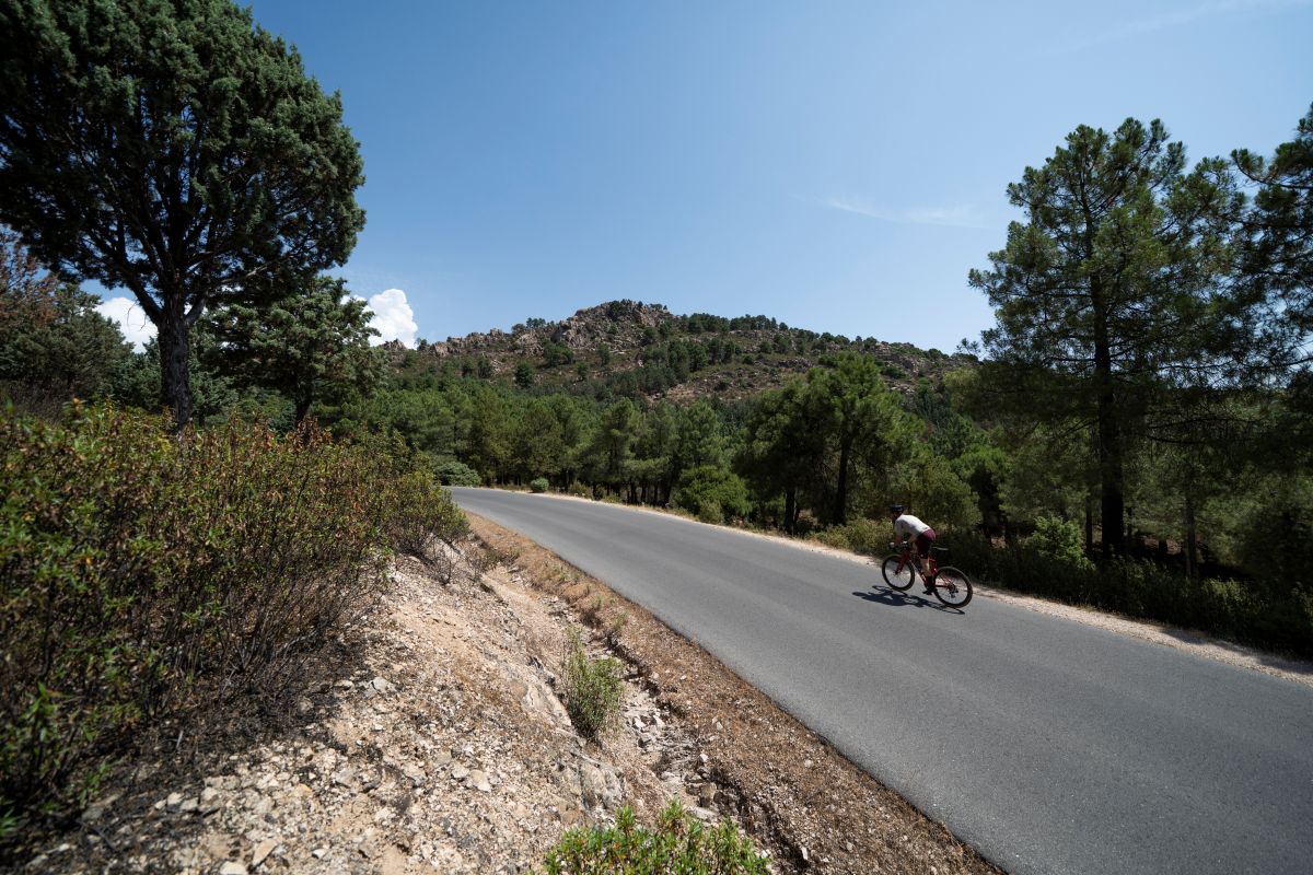 Primeras Pedaladas: nueva S-Works Tarmac SL9 ¿La mejor bicicleta de competición del momento?