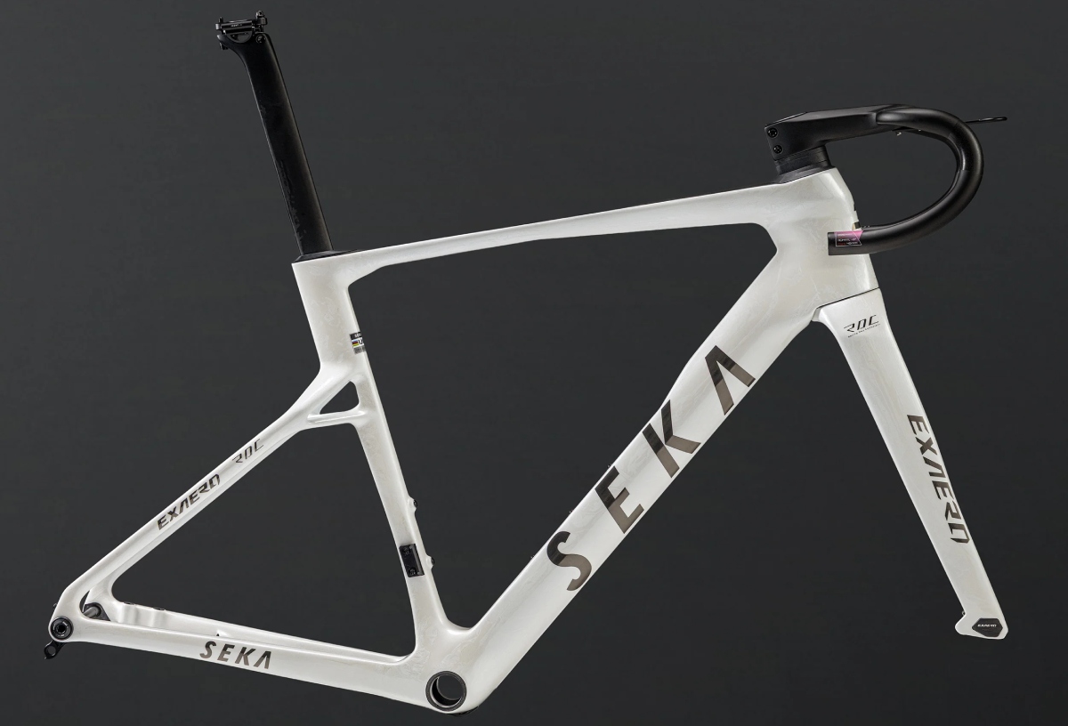 10 marcas chinas de bicicletas que están dando que hablar