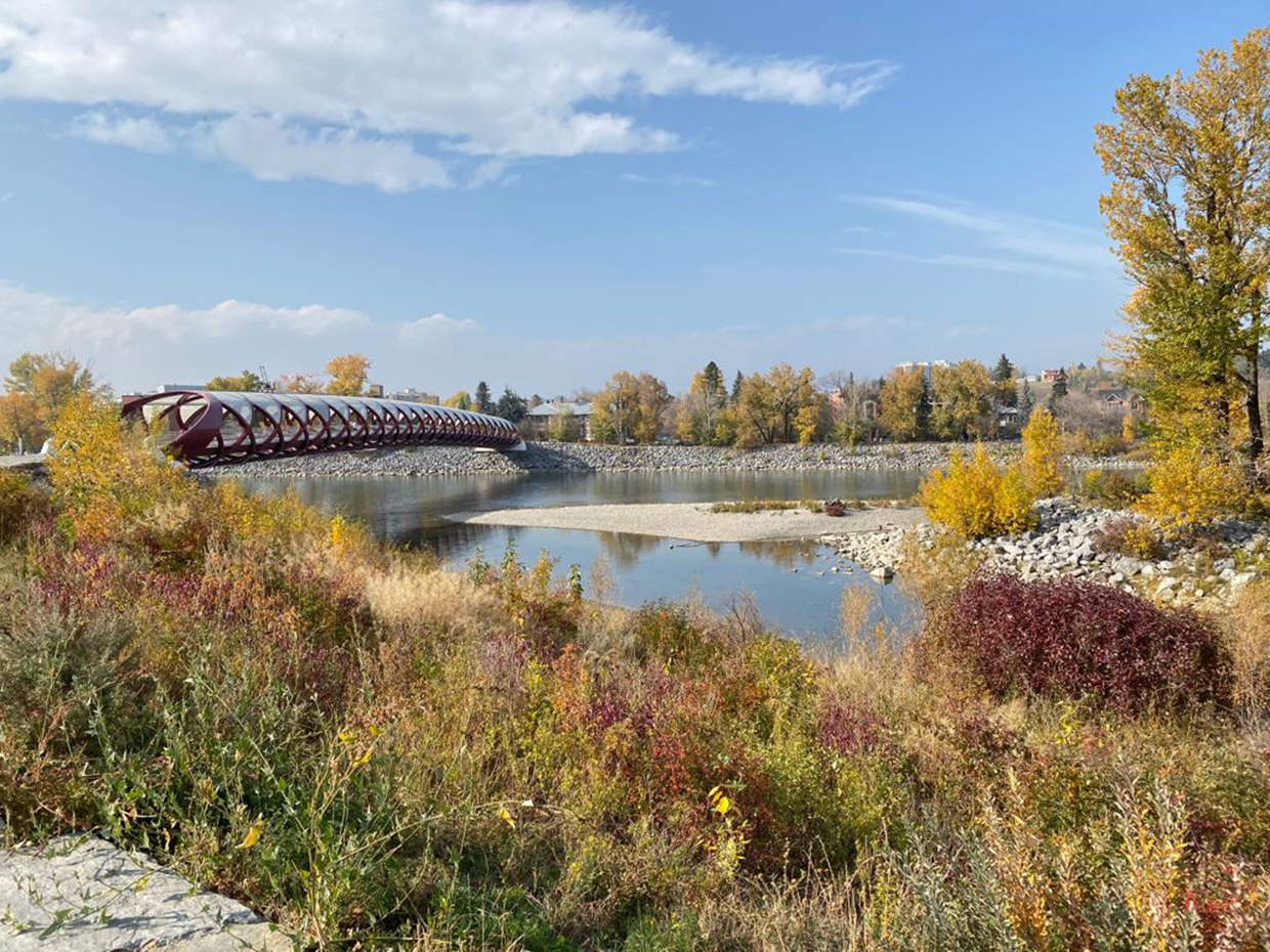 Peace Bridge
