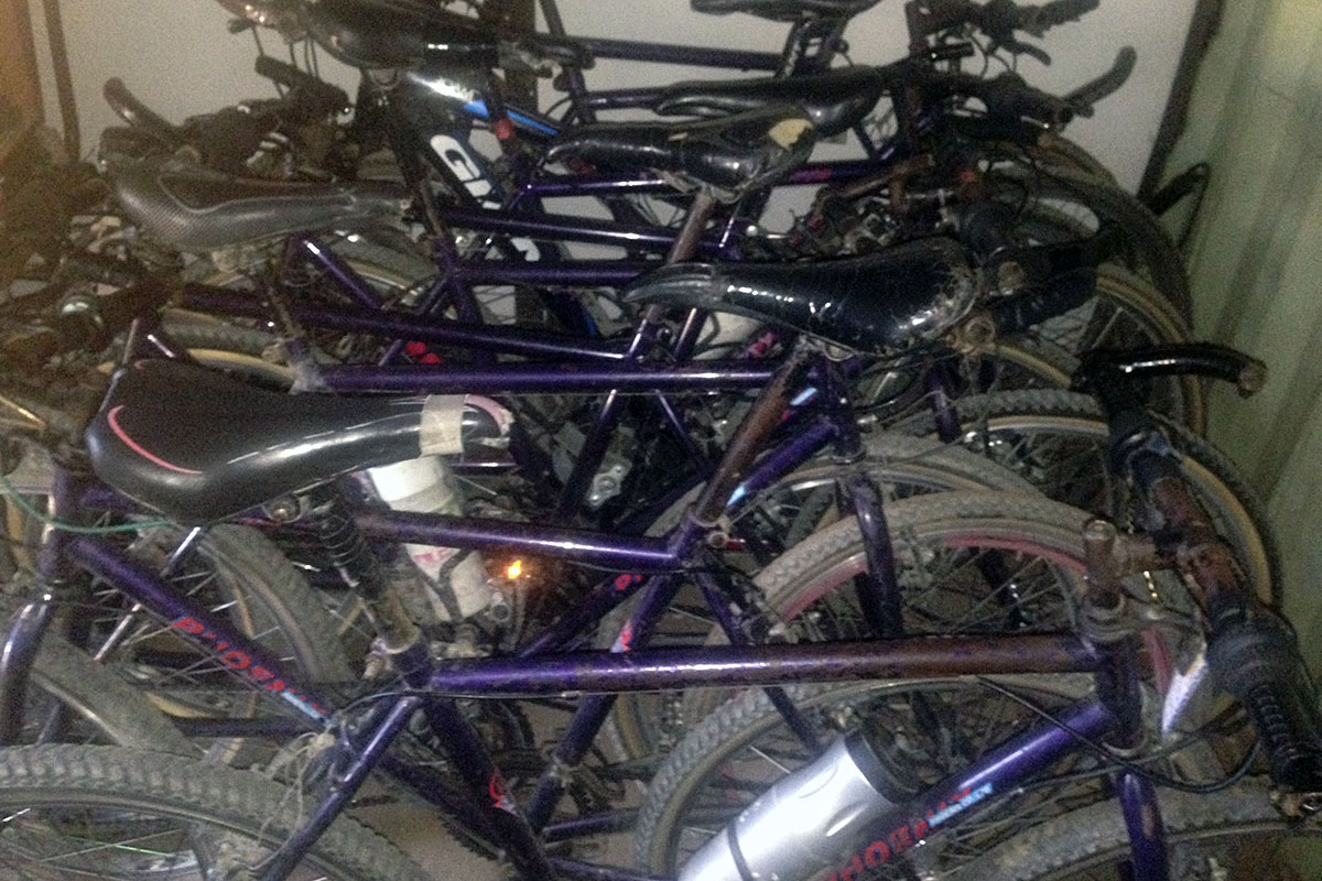 Bicis del club ciclista Saint Mary
