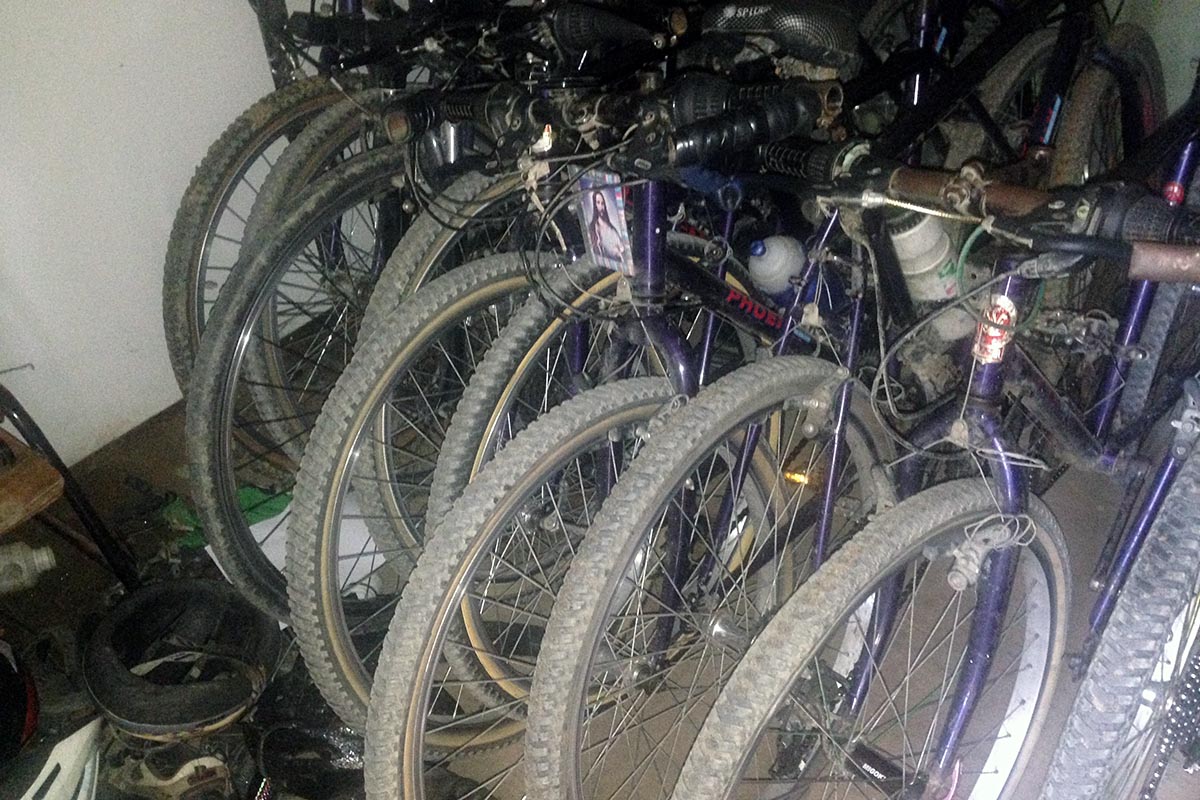 Bicis del Club ciclista Saint Mary