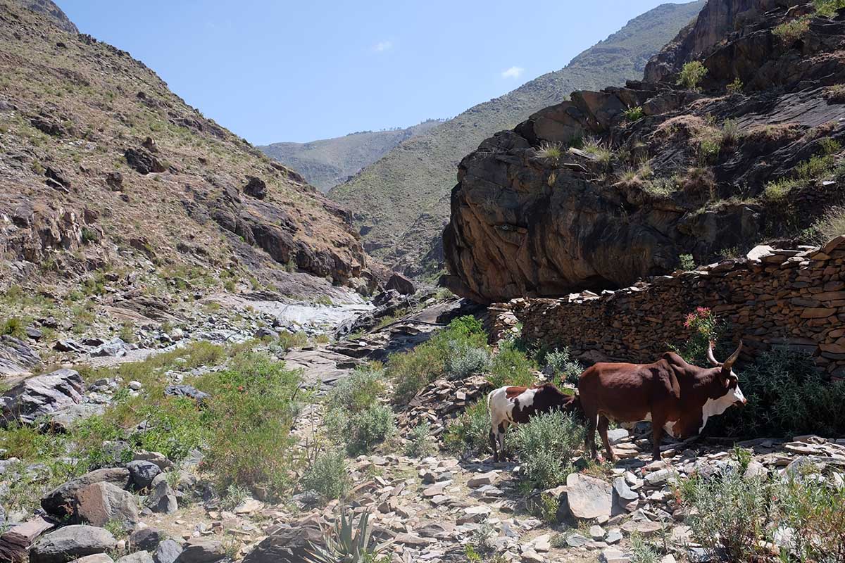 Barranco que se encuentra junto a Wukro