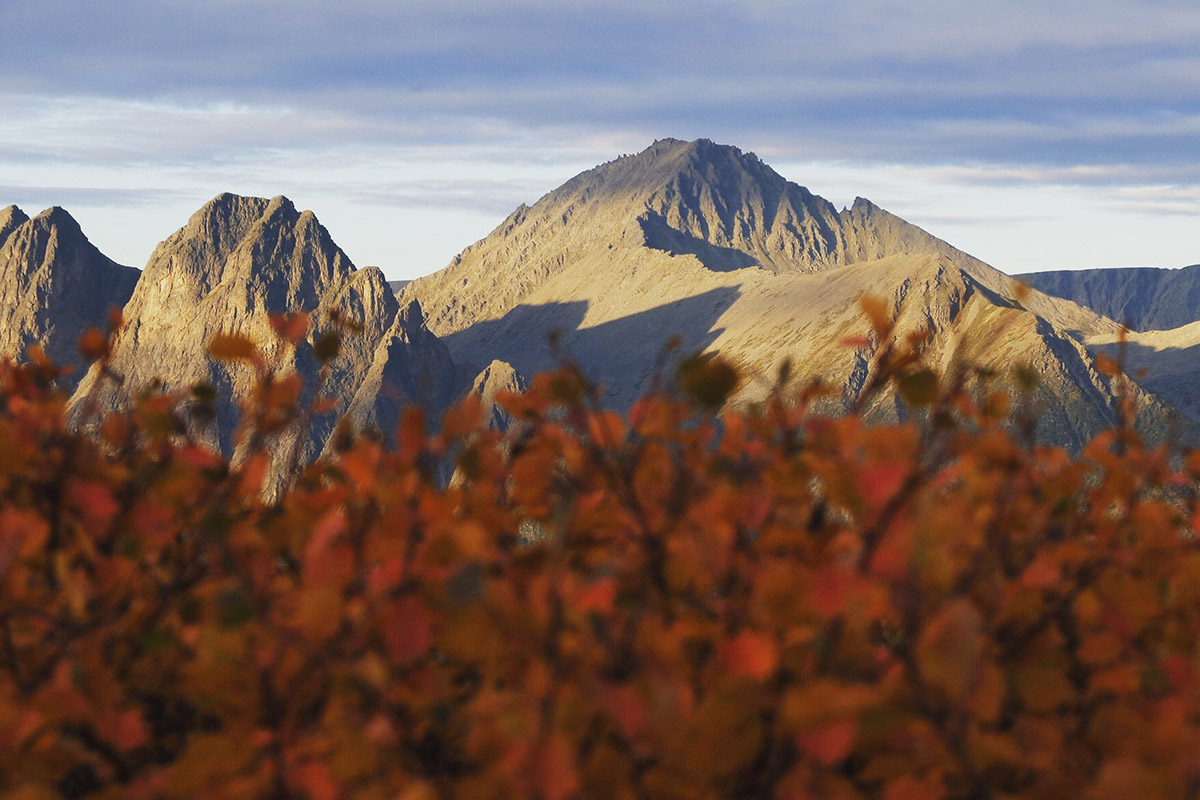 Montaña de fondo con las hojas en color marrón del otoño