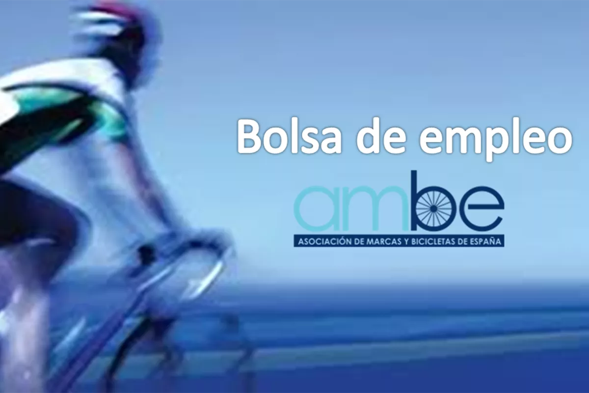 Bolsa de Empleo de AMBE