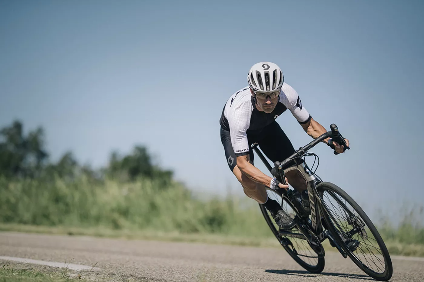 Nueva colección Scott Road 2019