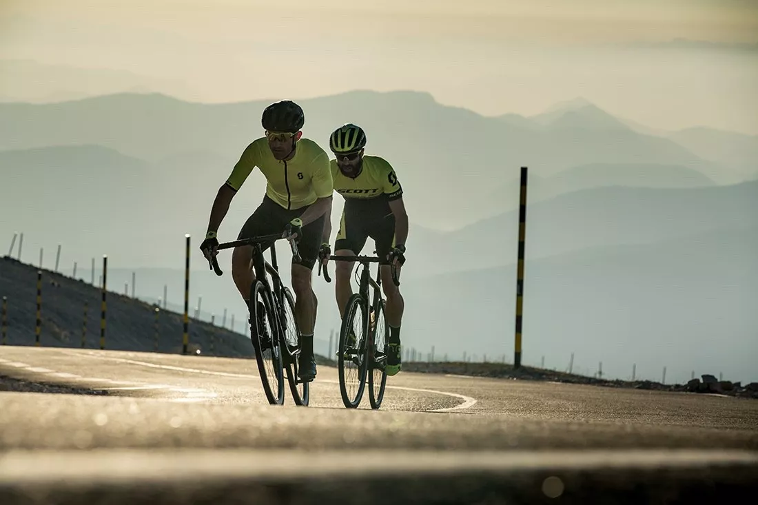 Nueva colección Scott Road 2019