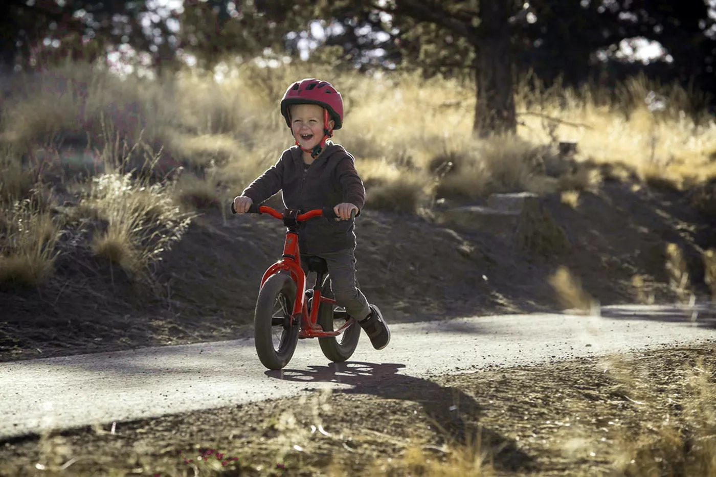 Concurso Specialized