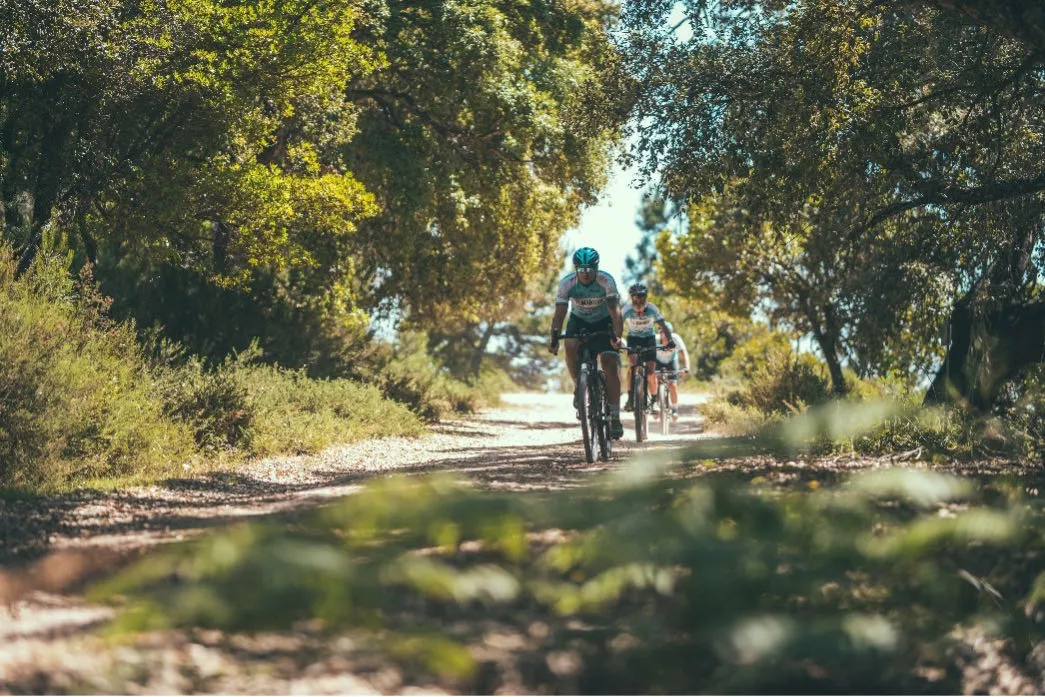 Cannondale y El Mito