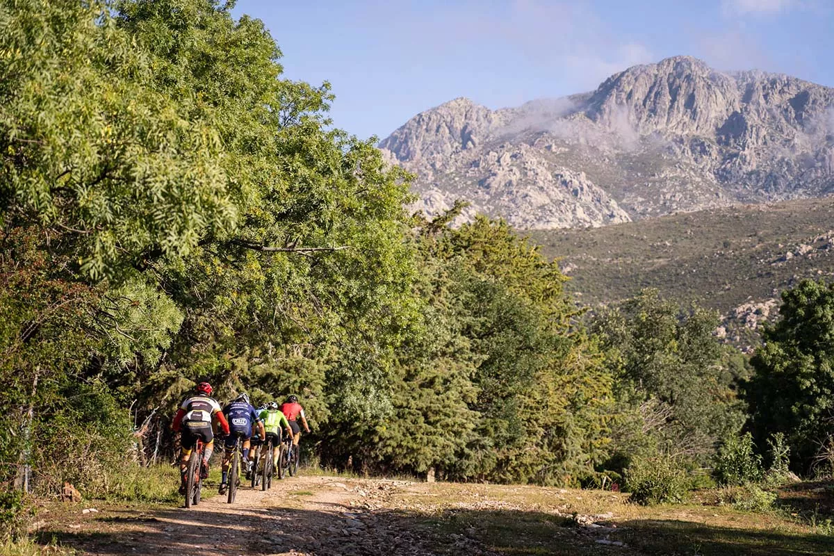 Orbea, SCOTT y Specialized, las marcas de bicis más utilizadas en la Madrid-Segovia