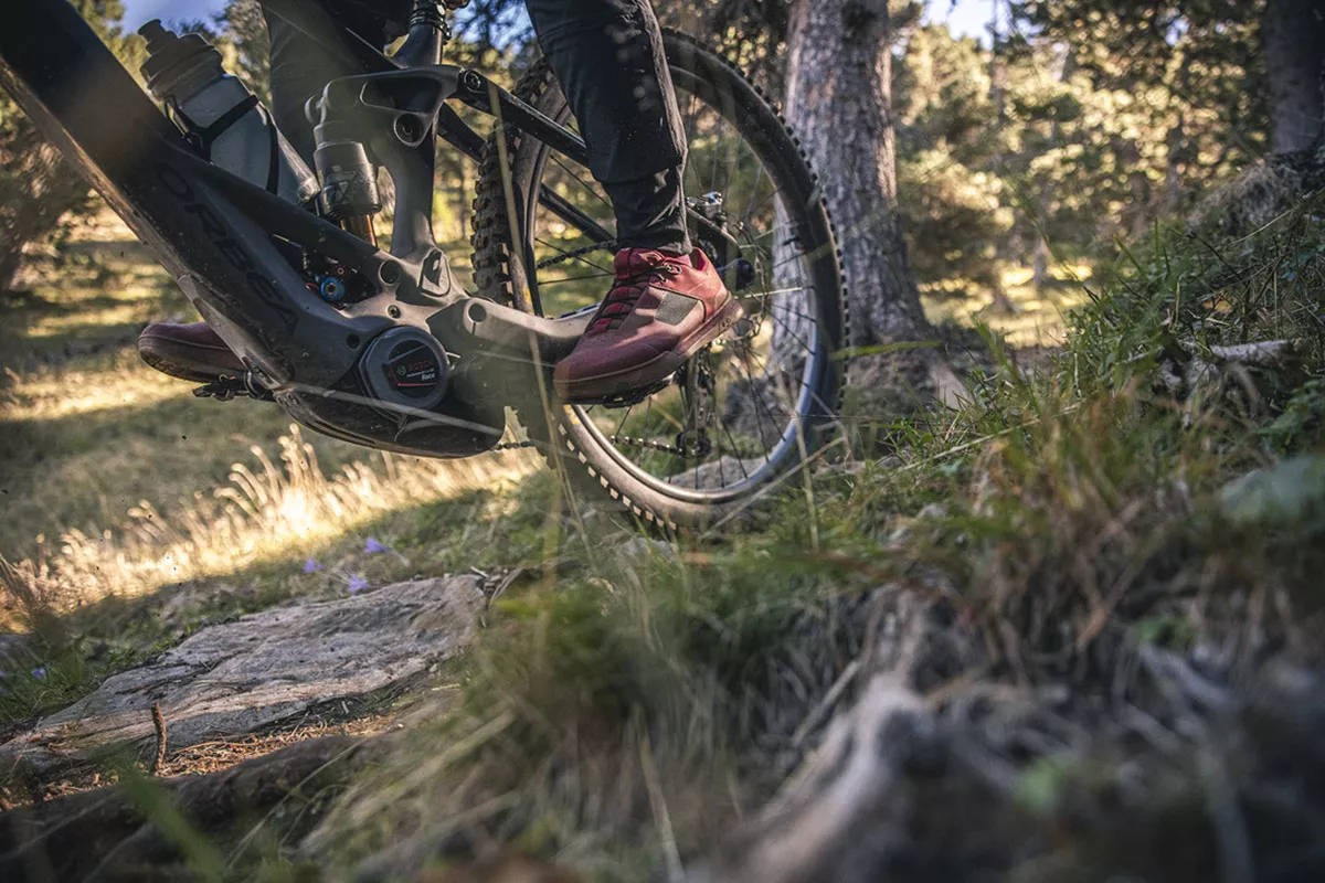 Race Test: Bosch Performance Line CX Race