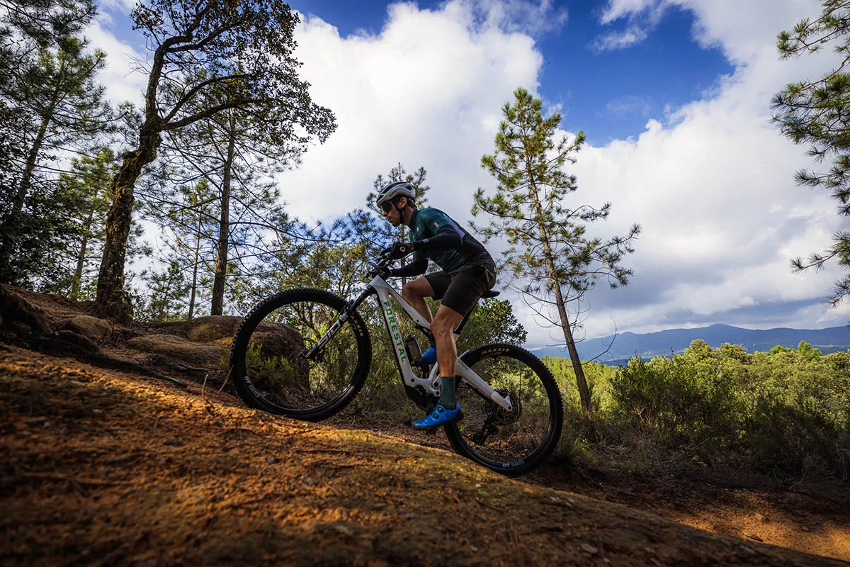 Guía de Compra: las e-bikes de Forestal ¿cómo y para quién son?