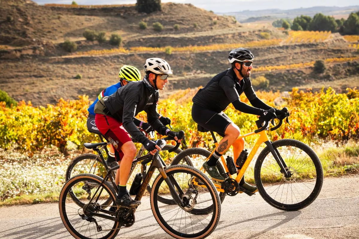 Cuadro de carbono vs. aluminio en gravel ¿Cuál es mejor para ti?