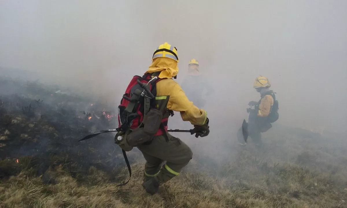 https://www.mtbpro.es/afondo/que-hacer-en-caso-de-incendio-forestal