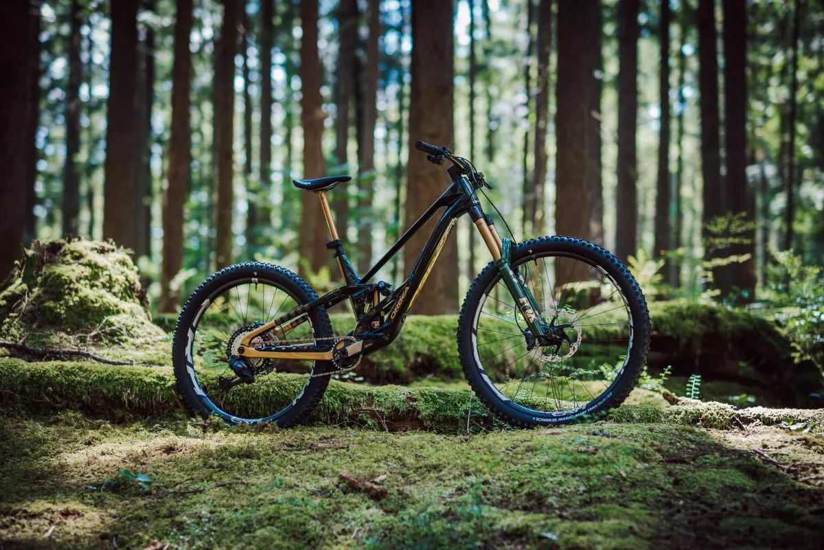 Nueva FOX 38 Racing Green… ¡Y la Orbea Rallon personalizada que puedes ganar en un sorteo!