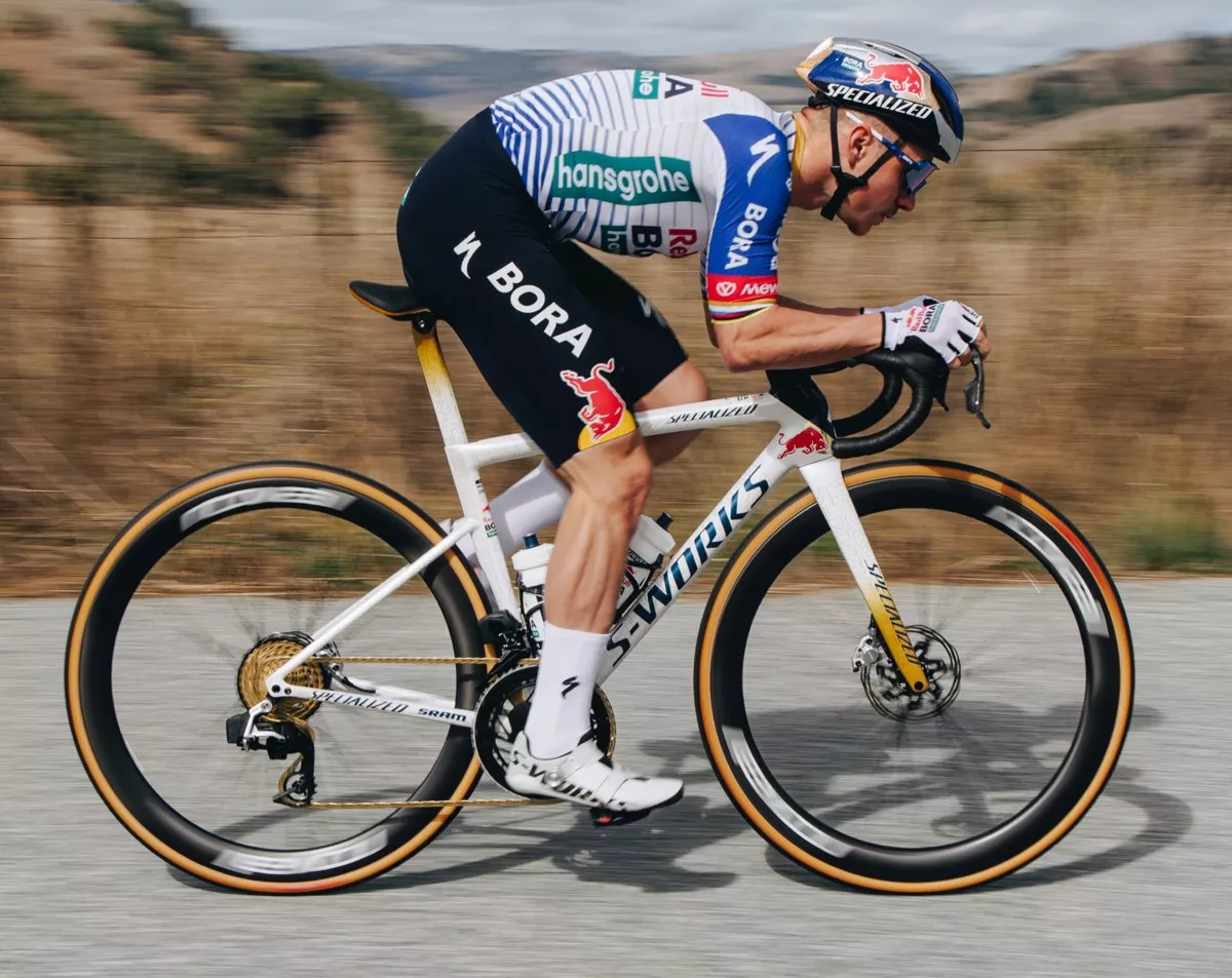 Specialized Cotton TLR: el neumático de Remco Evenepoel llega a las tiendas