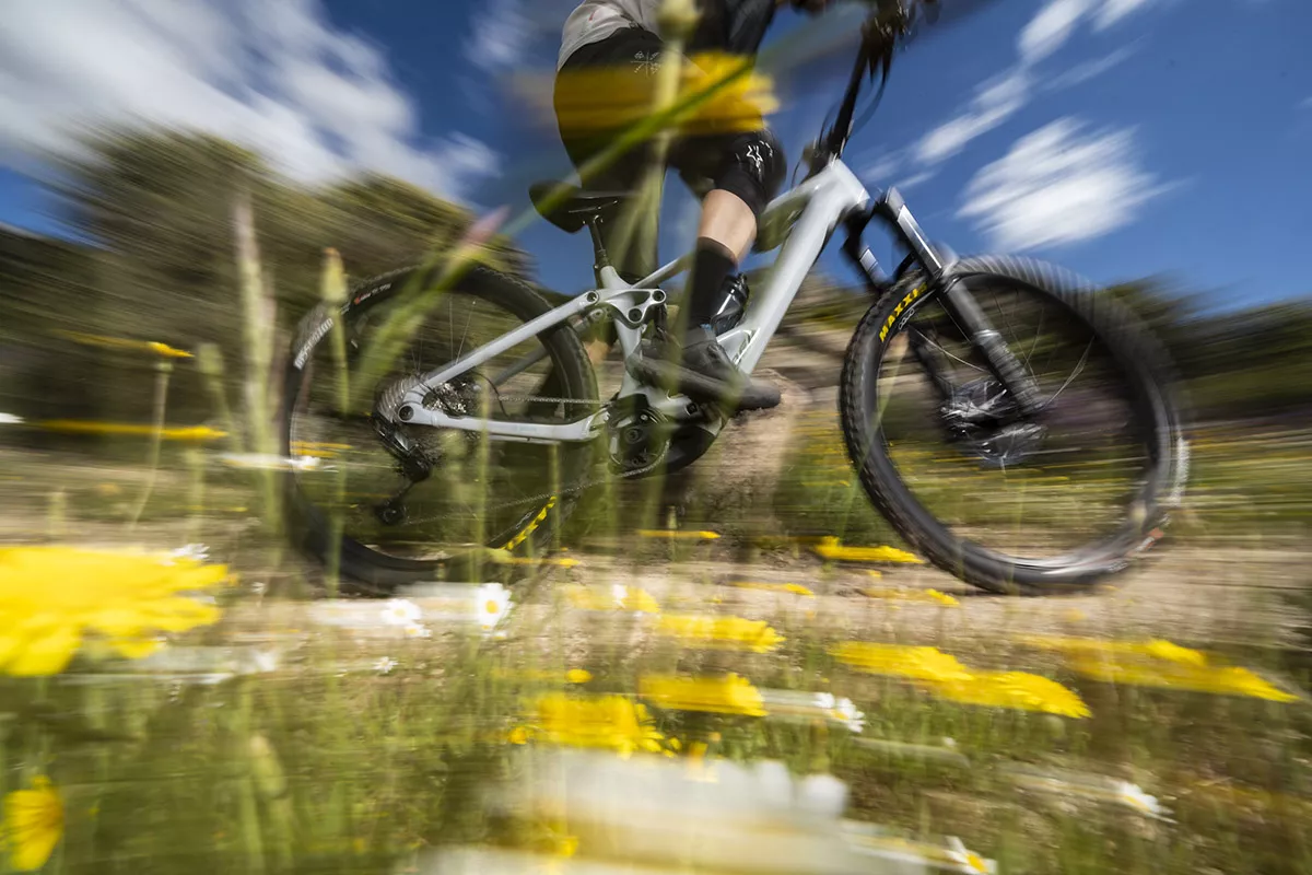 Alergia primaveral y MTB: consejos para entrenar sin estornudos
