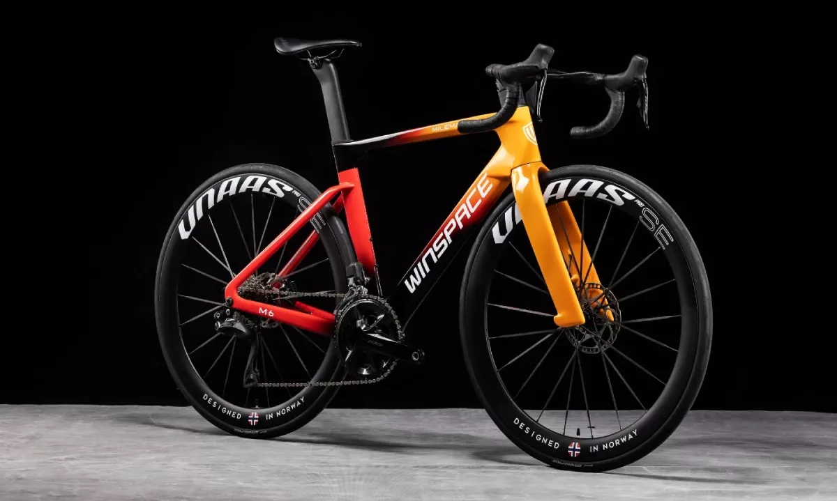 10 marcas chinas de bicicletas que están dando que hablar