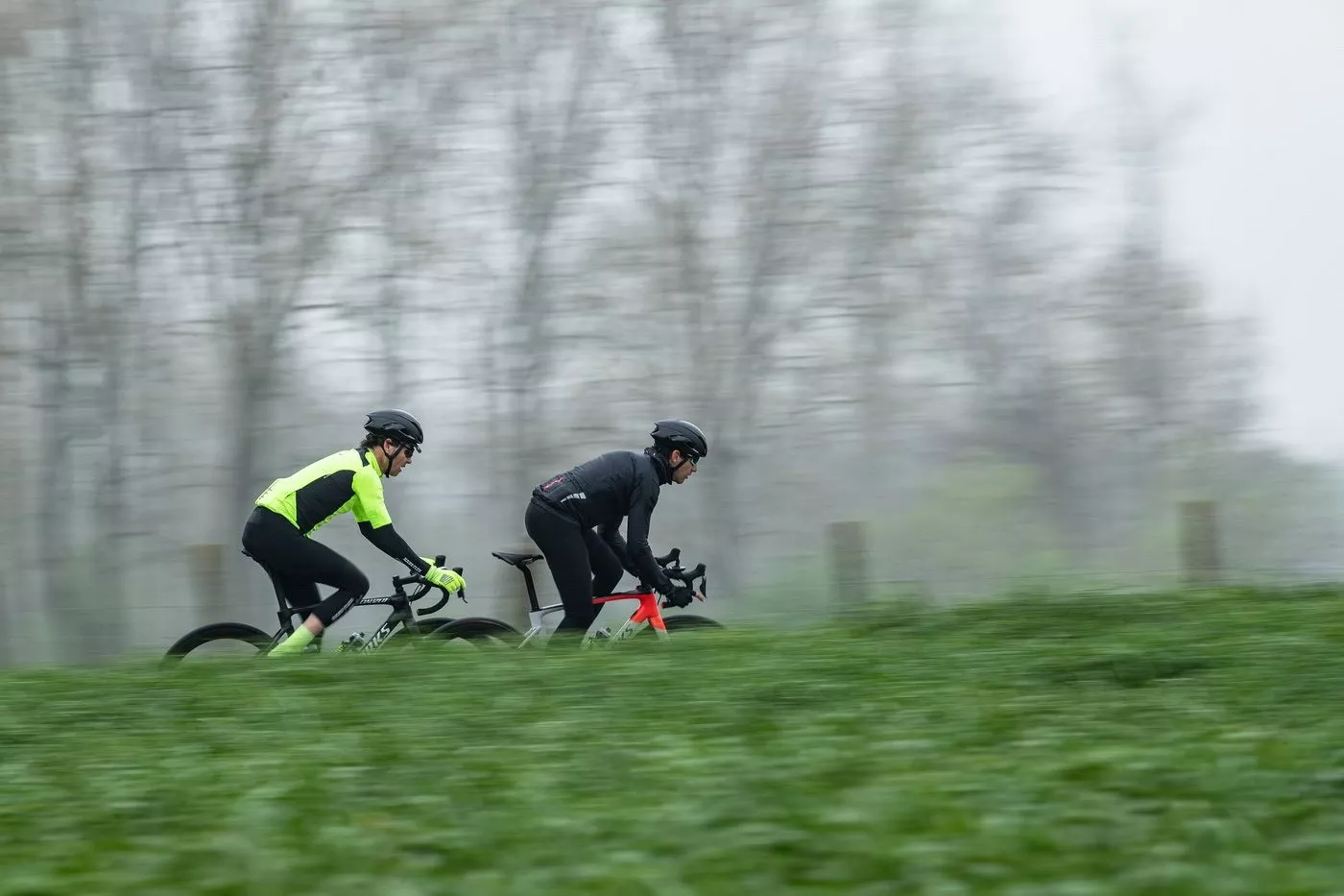 Specialized Roubaix 2020 en acción